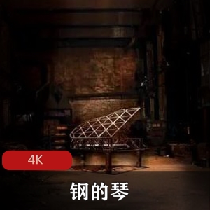 《钢的琴：下岗工人的音乐奇迹》-真实现实主义故事，感人至深视频大小/数量：1
