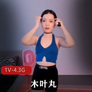 戴上钢盔那一刻!!你就是我心中最可爱的木叶丸!!!!!+[1V-4.3G]