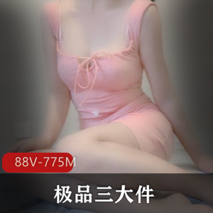 微博B站福利姬+优质三大件+高颜美腿[88V-775M]