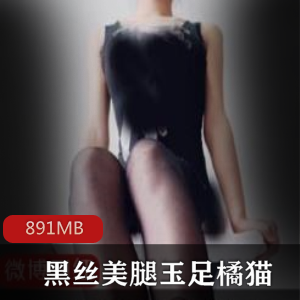 黑丝美腿小脚（橘猫）