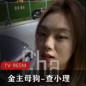 推特知名金主小狗-查小理，+勾引路人跪舔后推车[1V-965M]