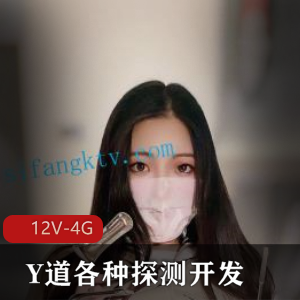 Y道各种探测开发+[12V-4G]
