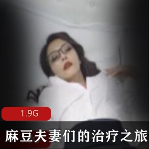 麻豆剧情佳作（夫妻们的治疗之旅）