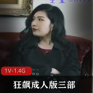 狂飙传媒版三部+[3V-2.8G]