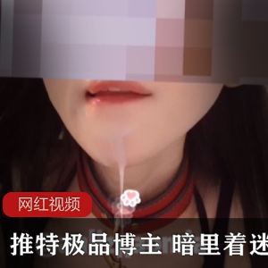 推特优质博主+暗里着迷作品七部