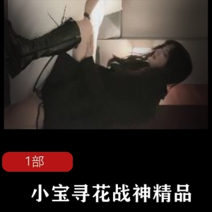 小宝寻花战神精品，高端边缘场 1部