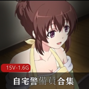 【里番】自宅警備員合集（第一部14两个版本+第二部16）【15V1.6G】