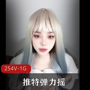 推特弹力摇爆弄合集+[254V1G]