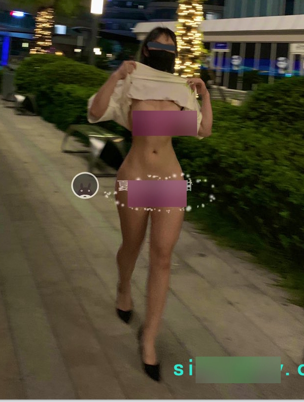 独家抖音网红夏甜热舞健身合集,视频数量超过70个,总大小2.1G,永久链接,失效补看好多人求