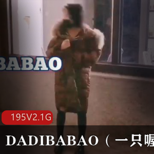 抖M小妹子@DADIBABAO（一只喔）专注打野，三洞视频合集2.1G