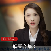 麻豆合集3神级表演，视频数量惊人