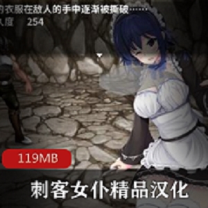 安卓RPG手游：刺客蕾姆女仆潜入游戏，绅士必玩！(119MB)
