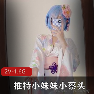 小蔡头雷姆浴室作品2V1.6GY语叫声攻速