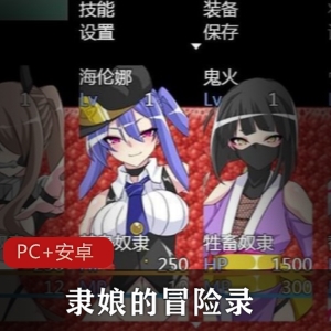 高能RPG游戏-奴系列最新作，精翻汉化版，挑战对决，视频丰富