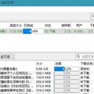 qbittorrent中文绿色增强版：简单快捷，下载工具给力