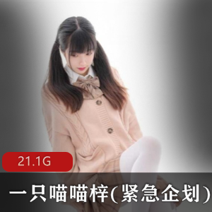 P站美腿小仙女喵喵梓紧急企划合集,清纯可爱高颜值服装,21.1G视频大小,20套资源