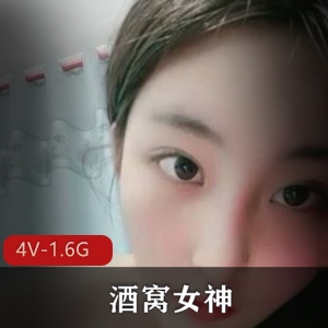 酒窝女神大长腿粉嫩丰满sexyrap身材美颜主播4V视频1.6G