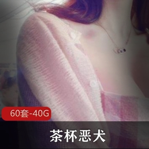 微博网红茶杯恶犬典藏版60套40.1G视频资源合集