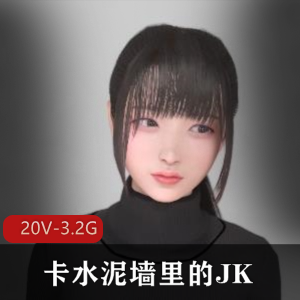网络热传涩图20V3.2G高清动画JK僵尸新娘创意作者