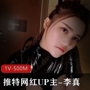推特网红UP主李真粉丝见面战斗场面1V500M资源下载