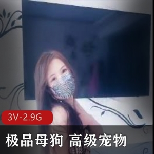 3V-2.9G高级宠物失眠跪舔饮尿狗链教育自拍时长微信认识已婚妻子