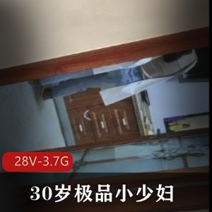 30岁小少妇清纯致命YH资源自拍视频摄像头竖拼28分钟3.7G