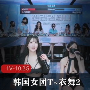 《火爆抖音：韩国女团T~衣舞作者自拍舞蹈完整版14女主名场面》