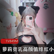 绯红小猫视频资源合集，周晓琳表演，846MB