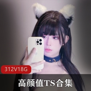 高颜值TS合集，312个视频，18.4G，TS李智贤、TSdingkubel、TS露丝妹妹、TS紫苑、TS宋璇、TS雅雅