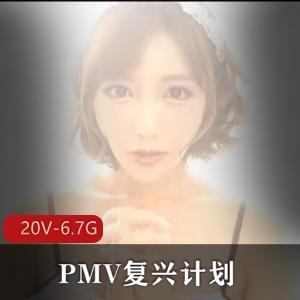 PMV复兴计划：小合集20V-6.7G，亚籍女Y巨囊症三人游，极速抽C颜S作品观看