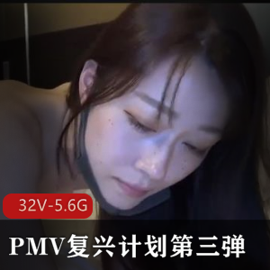 PMV复兴计划第三弹合集：名场面、小H、爆汁，国家观看