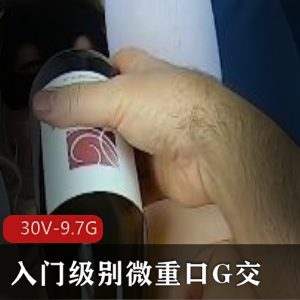 MsFine微口味重G交洋马小扩张合集30V9.7G视频入门级别