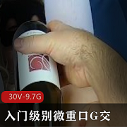 MsFine入门级别微口味重G交洋马小扩张30V9.7G合集