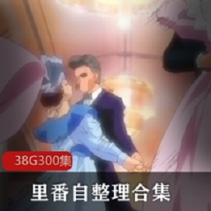 超级大礼包38G里番合集