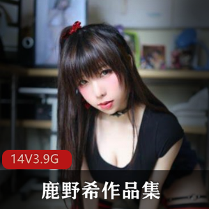 鹿野希微博全集