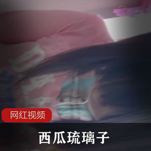 丰满漂亮学生妹（西瓜琉璃子）被称为“天价学生”，拍摄大量有尺度视频【5GB】