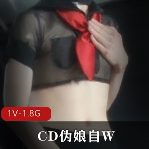 27分钟CD伪娘自拍喷S战士激素打F机视频1.8G下载
