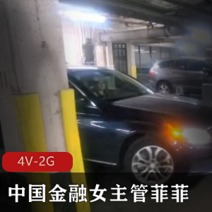 金融女高管菲菲自拍视频4V-2G，时长44分，含露脸内容