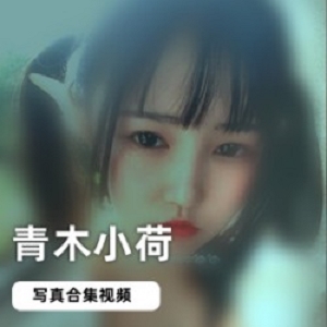 青木小荷绝版合集，性感衣服清纯妹子，1.8G视频数量