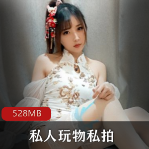 网红美腿白丝私拍作品合集，高端定制，528MB视频量