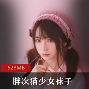 虎牙网红小洛丽&塔胖次猫大白兔视频资源合集628MB