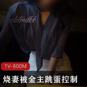 金主20万生活费，烧妻奇怪玩具控制妹子教育岛国，厕所解决