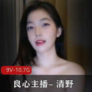 清野舞蹈作品集：9个版本，总10.7G，专业舞蹈技巧展示