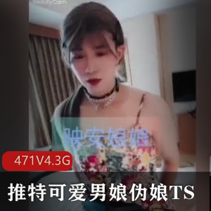 推特男娘伪娘TS精品视频合集471个4.3G小视频资源