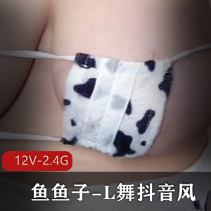 抖音风短视频体验，12V-2.4G设备，安全带必备，巨巨、R-鱼鱼子、L舞