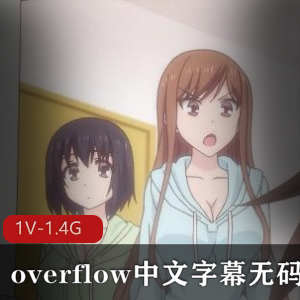 overflow完整版动画片,中文字幕,岛国出品,家庭乱L剧,青梅竹马,无保护进入版,下载观看