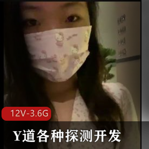 12V-3.6G：探测开发，子G尿，风油精挑战，扩Y器探索，经典名场面
