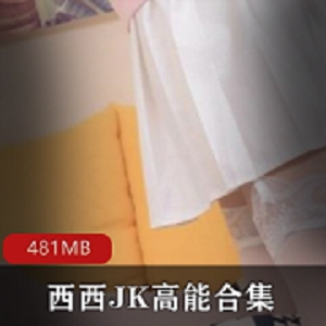 西西JK美腿主播高能直播精华合集481MB