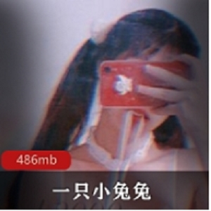 网红小兔兔