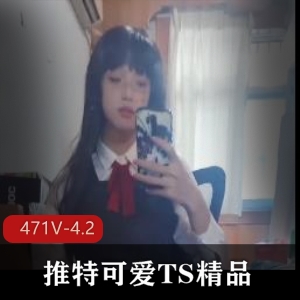推特可爱TS精品视频集[471V-4.2G]：短视频精选，自拍露脸，C肛感觉